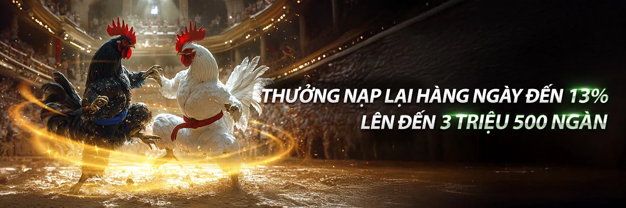 Đá Gà Trực Tuyến Hàng Đầu tại banca29 cổng game chính thức